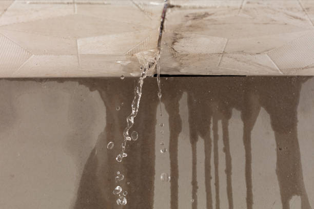 Professional Water Damage Restoration technician working in Wartrace, TN